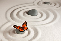 Tapeta Zen butterfly 29292 - latexová